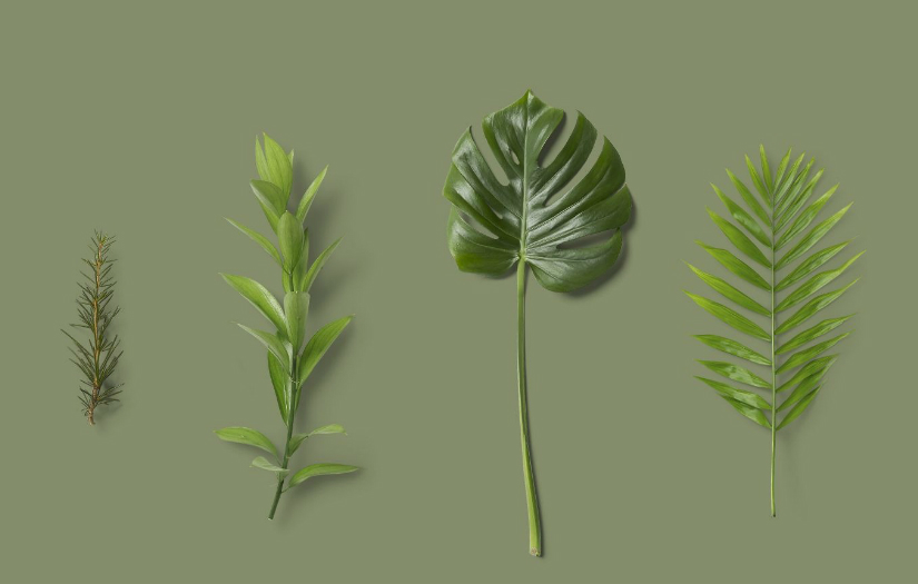 Plantscounter screenshot 1